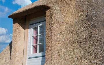 Llechwedd thatch roof disadvantages